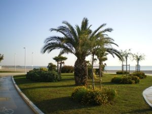 Lungo mare sud Civitanova Marche