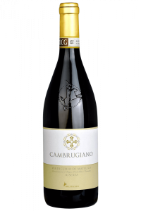 Verdicchio di Matelica Cambrugiano Cantine Belisario