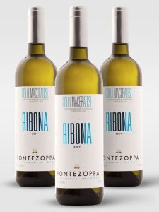 Ribona colli maceratesi doc riscoperto e apprezzato vino bianco
