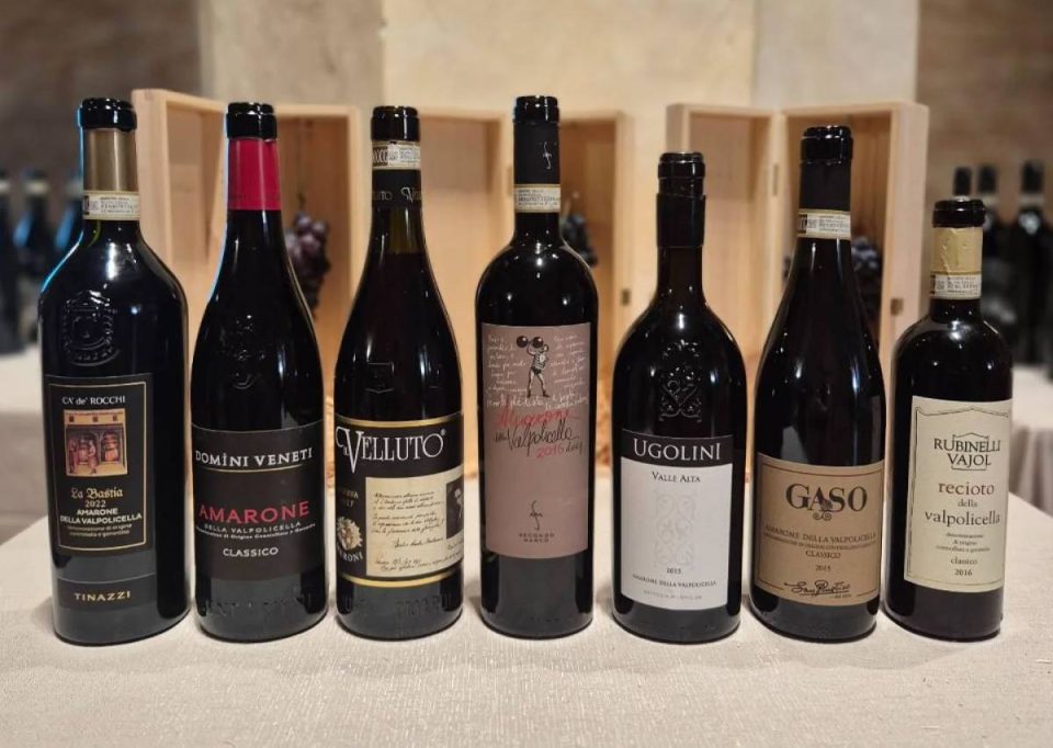 amarone ripasso valpolicella