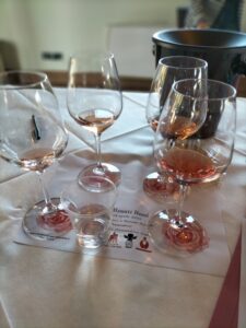 degustazione vini rosati, Le Vigne di Clementina Fabi