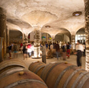 Tenuta di Castellaro Winery & Resort